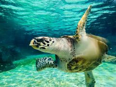 -新加坡水上探险乐园