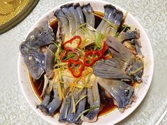 -煲来饱去冷水鱼