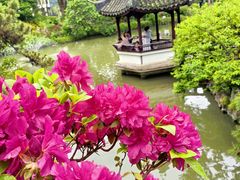 -上海醉白池公园