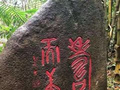 -呀诺达热带雨林