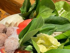 -松赞拉萨林卡酒店