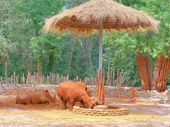 -北京野生动物园