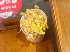 -大龙燚火锅(南山大道店)
