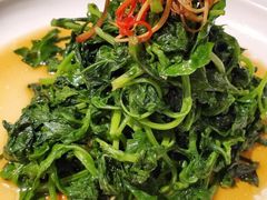 清炒菠菜-民国红公馆·秦淮八艳(夫子庙店)
