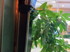 -高第街56号港式餐厅·精选(世茂广场宽厚里大明湖店)