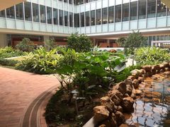 -香港大学