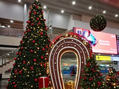 -谢列梅捷沃国际机场