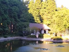 -庐山风景区花径公园