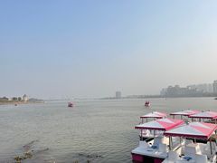 -九龙湖公园