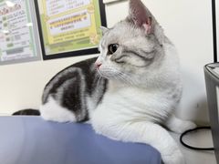 -贝康宠物医院·犬猫全科·小动物特色诊疗中心(东环路店)