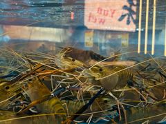 -小林哥的海鲜馆·夜宵烧烤(渔人码头店)