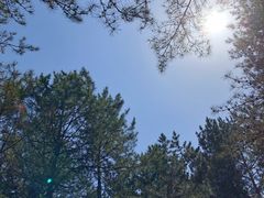 -帽儿山国家森林公园