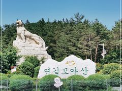 -帽儿山国家森林公园