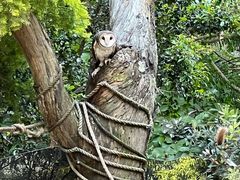 -可伦宾野生动物保护区