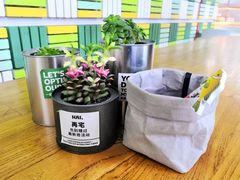 -Green Option(官舍店)