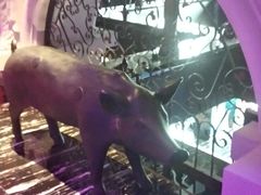 -银河音乐时间KTV