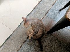 -鱼乐岛餐厅·户外花园主题餐厅