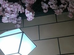 -九田家黑牛烤肉料理(华侨城店)