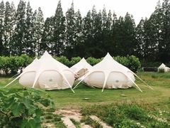 -前小桔亲子创意农场·草莓采摘·露营烧烤