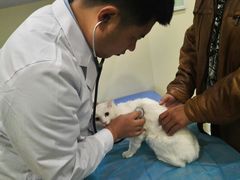 -美迦爱-牙专科·兔科·骨科诊疗中心(北苑店)