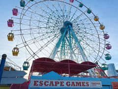 -巨鹏飞梦幻海岸