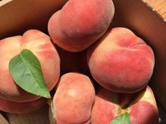 -菜园坝水果市场