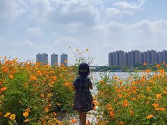 -翠山·映月湖景餐厅(映月湖公园店)