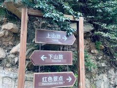 -大岭沟猕猴桃谷风景区