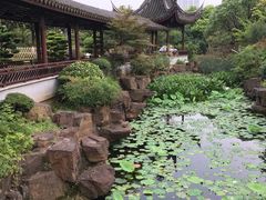 -花溪公园