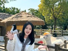 -珠海海泉湾神秘岛亲子乐园