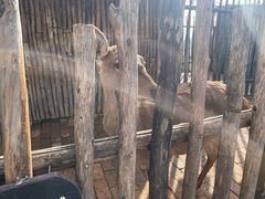 -白鹿原影视城
