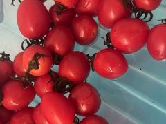 -颐而康·按摩·艾灸·足疗(武陵大道店)