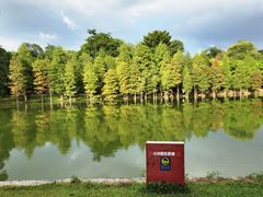 -中国科学院华南植物园