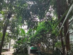 -南山植物园