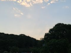 -北京西山国家森林公园