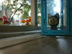 -小洲村