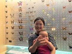 -陕西自然博物馆