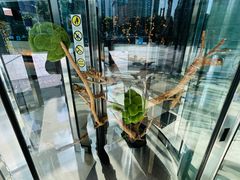 -上海龙之梦万丽酒店