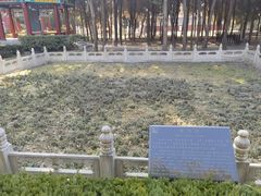 -汤阴县羑里周易博物馆