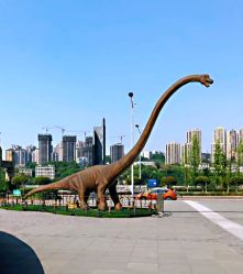 -恐龙探索乐园(磁器口店)