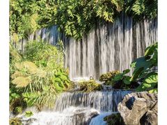 -广州市白云山风景名胜区