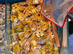 -鼎原力量东北吊炉烧烤(幸福街店)