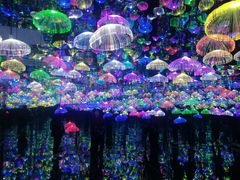 -天津梵高星空艺术馆(天河城旗舰店)