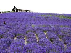 -白沙门生态公园