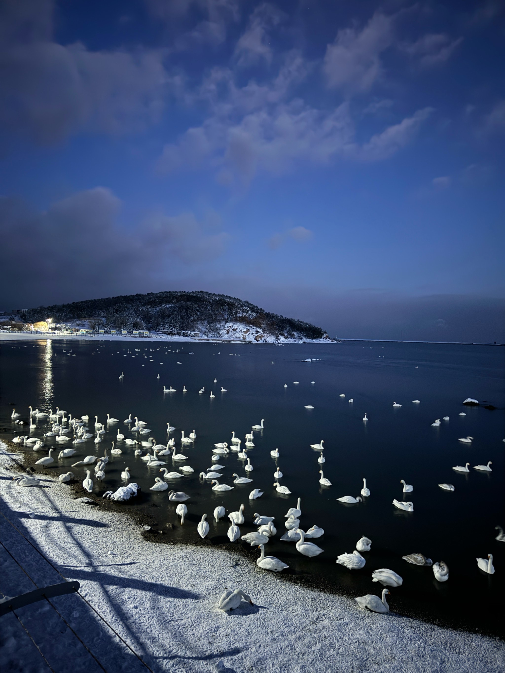 2020威海大雪图片