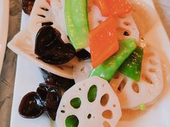 -陈麻婆豆腐总店