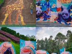 -云南野生动物园