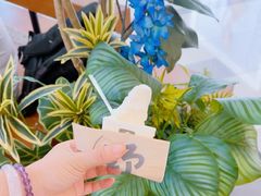 -野人先生Gelato(上海长宁龙之梦店)