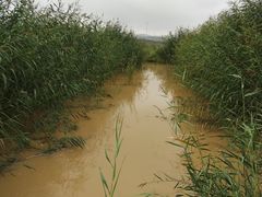 -水洞沟旅游区