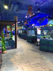 -酷嗒动物文化乐园(cutezoo西溪乐天城店)